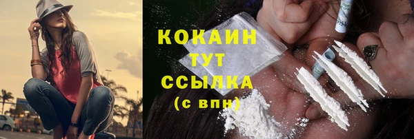 PSILOCYBIN Козловка