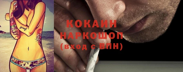 PSILOCYBIN Козловка