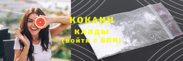 PSILOCYBIN Козловка
