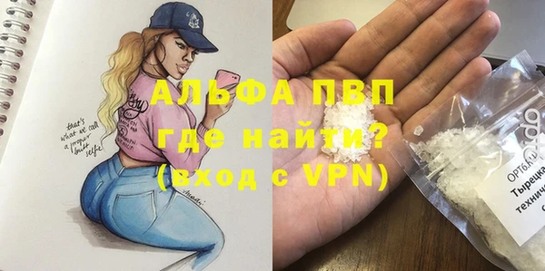 PSILOCYBIN Козловка