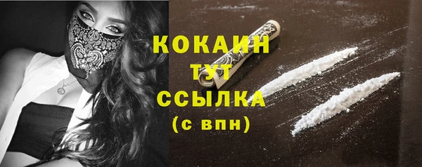 PSILOCYBIN Козловка