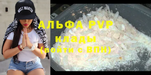 PSILOCYBIN Козловка