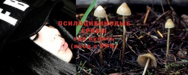 прущая мука Кодинск